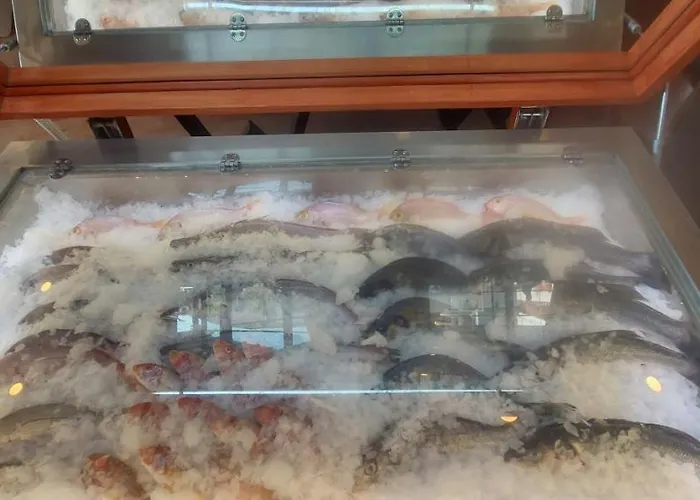 Blue Port Ξενοδοχείο 3*